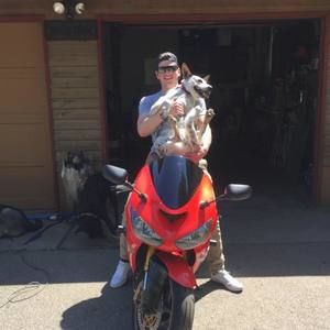 Meet your Posher, Michael